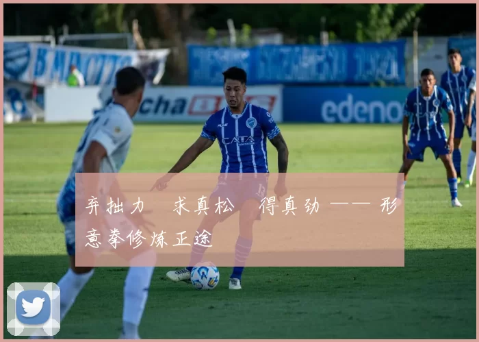 弃拙力・求真松・得真劲 —— 形意拳修炼正途