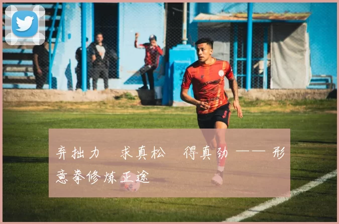 弃拙力・求真松・得真劲 —— 形意拳修炼正途