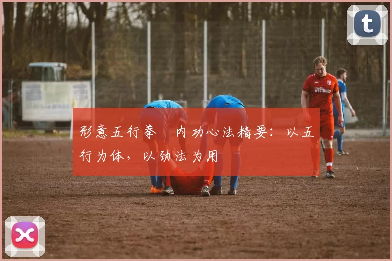 形意五行拳・内功心法精要：以五行为体，以劲法为用