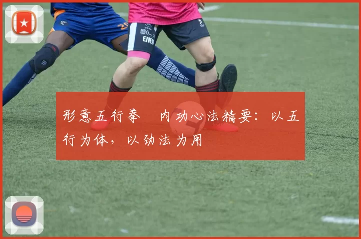 形意五行拳・内功心法精要：以五行为体，以劲法为用