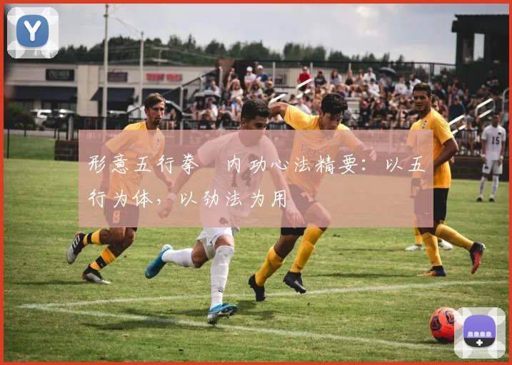 形意五行拳・内功心法精要:以五行为体,以劲法为用