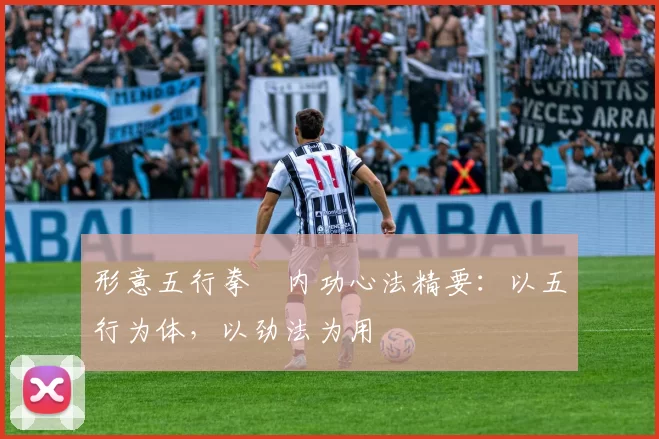 形意五行拳・内功心法精要:以五行为体,以劲法为用