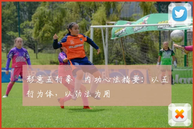 形意五行拳・内功心法精要:以五行为体,以劲法为用