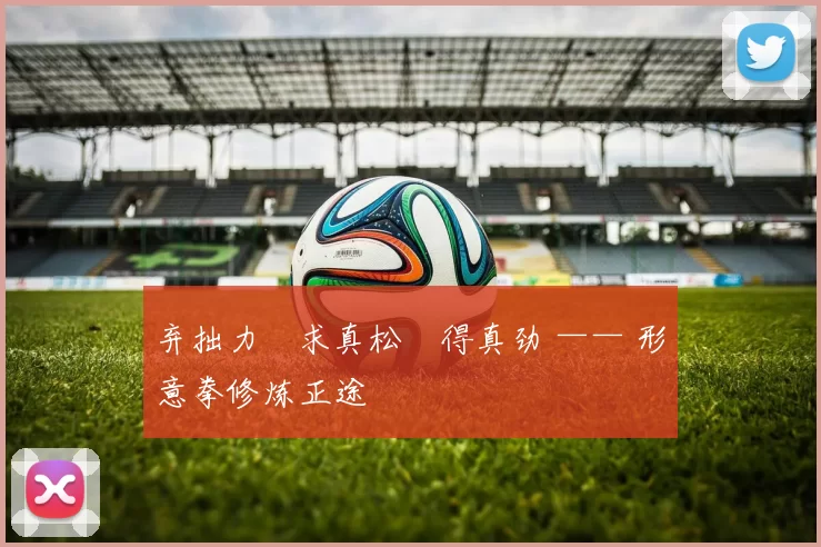 弃拙力・求真松・得真劲 —— 形意拳修炼正途