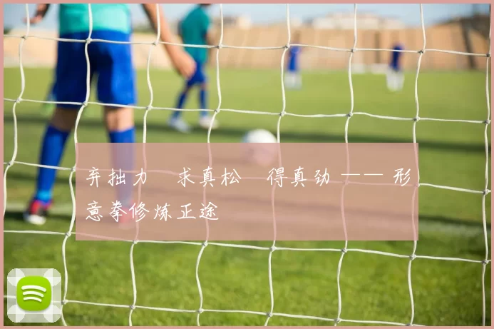 弃拙力・求真松・得真劲 —— 形意拳修炼正途