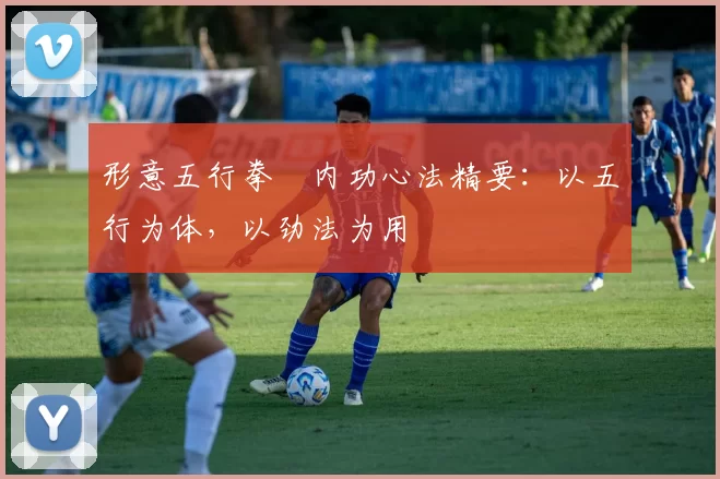 形意五行拳・内功心法精要：以五行为体，以劲法为用