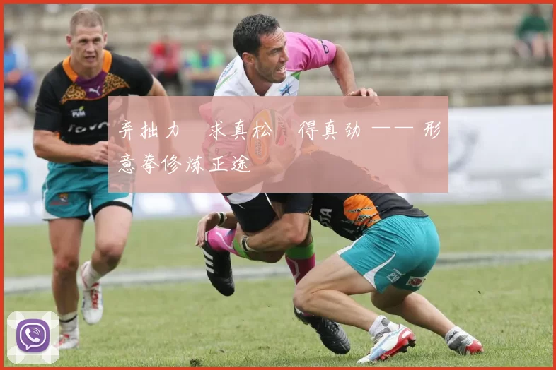 弃拙力・求真松・得真劲 —— 形意拳修炼正途