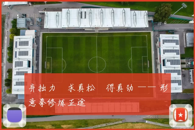 弃拙力・求真松・得真劲 —— 形意拳修炼正途