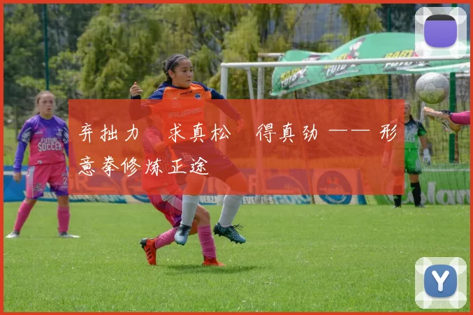 弃拙力・求真松・得真劲 —— 形意拳修炼正途