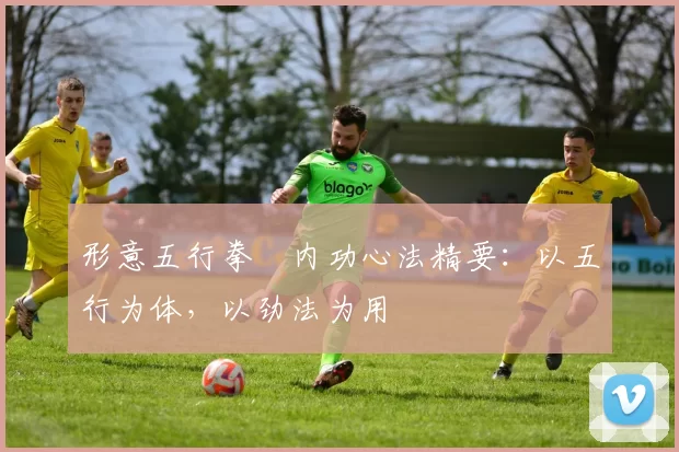 形意五行拳・内功心法精要：以五行为体，以劲法为用