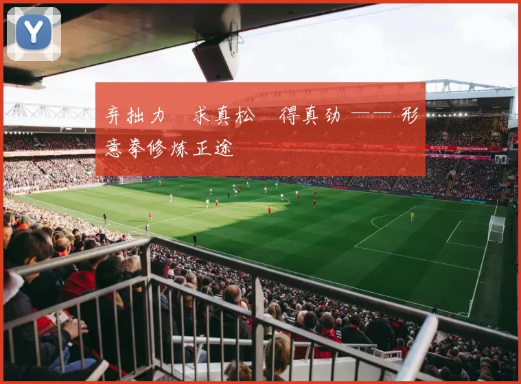 弃拙力・求真松・得真劲 —— 形意拳修炼正途