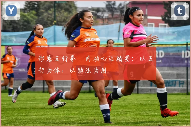 形意五行拳・内功心法精要:以五行为体,以劲法为用