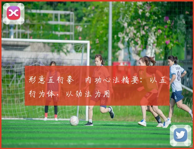 形意五行拳・内功心法精要：以五行为体，以劲法为用