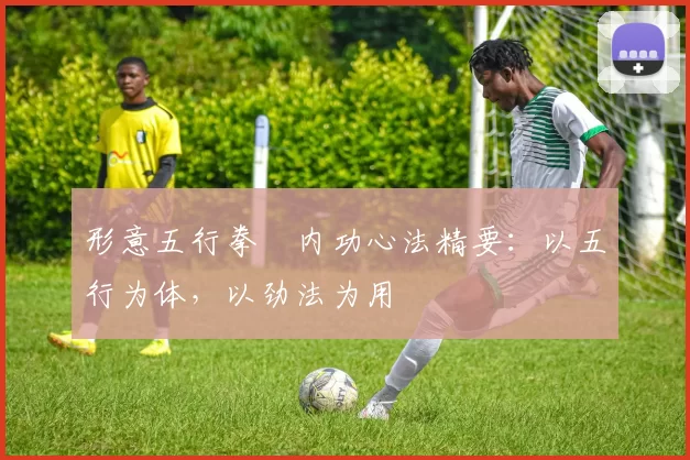 形意五行拳・内功心法精要:以五行为体,以劲法为用