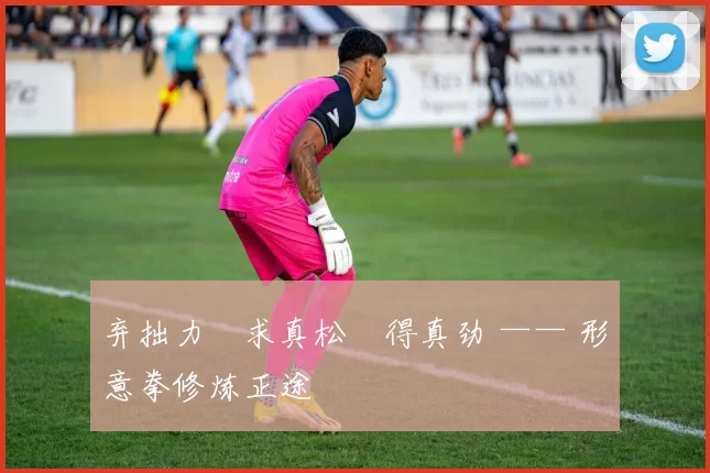 弃拙力・求真松・得真劲 —— 形意拳修炼正途