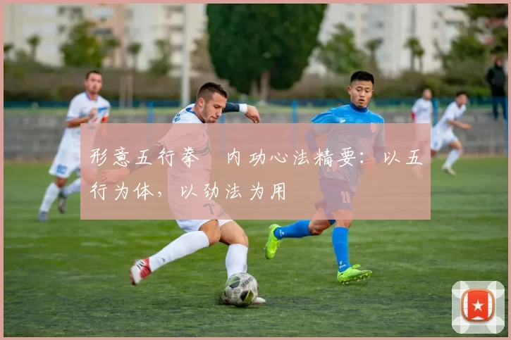 形意五行拳・内功心法精要：以五行为体，以劲法为用