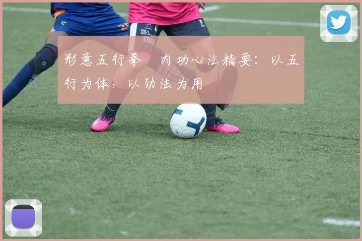形意五行拳・内功心法精要:以五行为体,以劲法为用