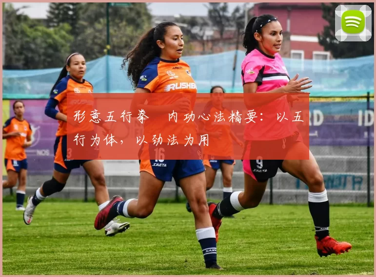 形意五行拳・内功心法精要:以五行为体,以劲法为用