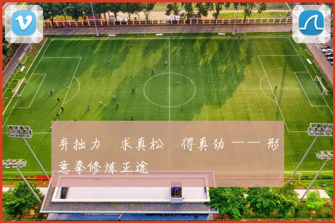 弃拙力・求真松・得真劲 —— 形意拳修炼正途