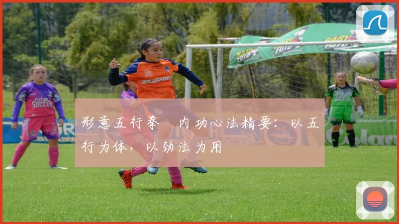 形意五行拳・内功心法精要：以五行为体，以劲法为用