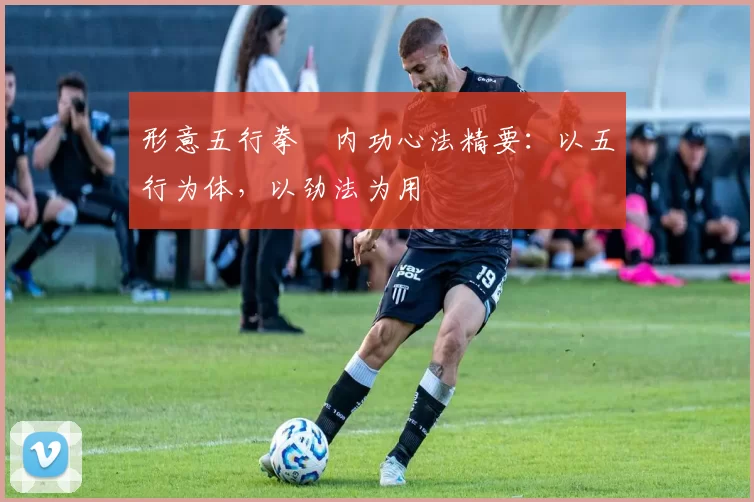 形意五行拳・内功心法精要：以五行为体，以劲法为用