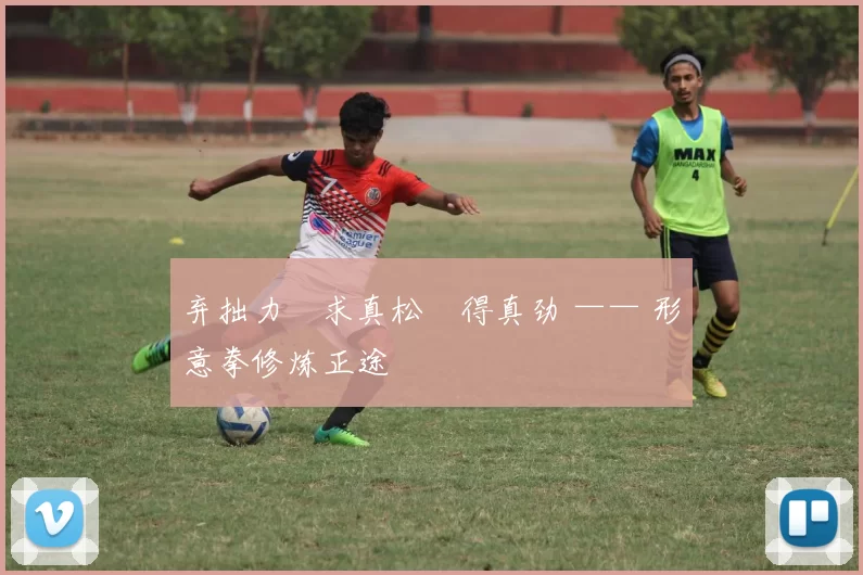 弃拙力・求真松・得真劲 —— 形意拳修炼正途