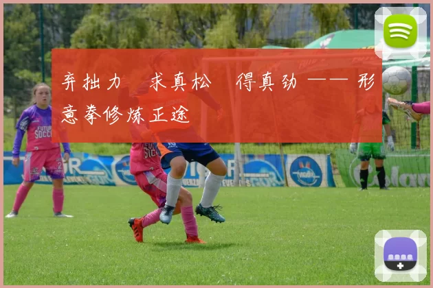 弃拙力・求真松・得真劲 —— 形意拳修炼正途