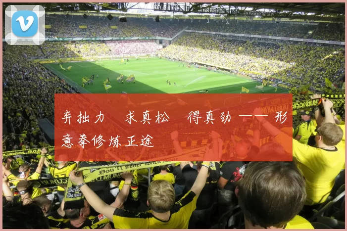 弃拙力・求真松・得真劲 —— 形意拳修炼正途