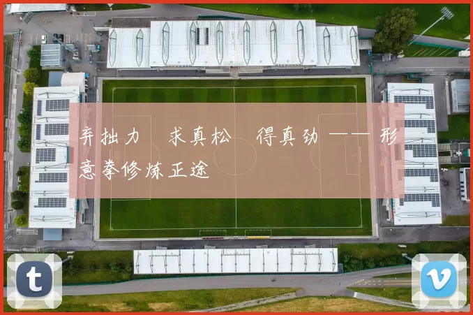 弃拙力・求真松・得真劲 —— 形意拳修炼正途