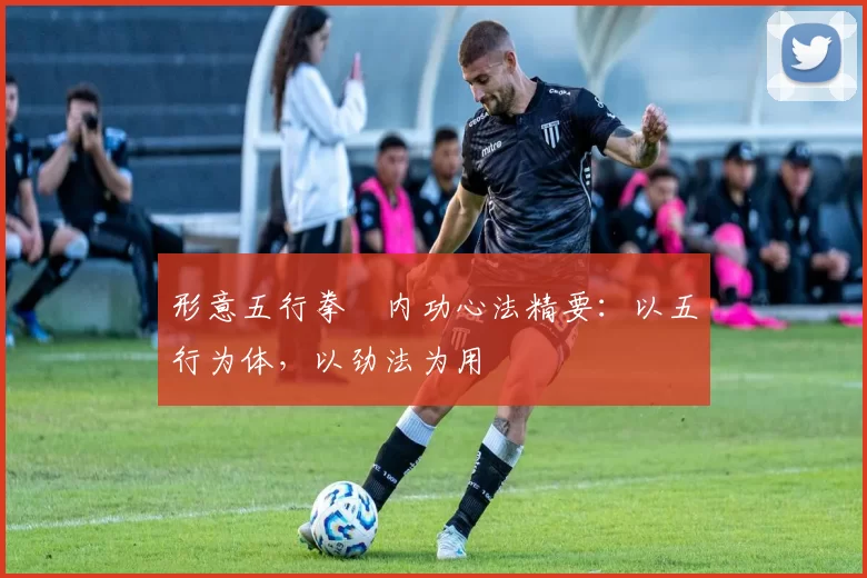 形意五行拳・内功心法精要：以五行为体，以劲法为用