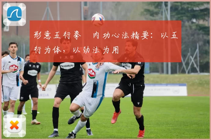 形意五行拳・内功心法精要:以五行为体,以劲法为用