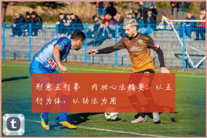 形意五行拳・内功心法精要：以五行为体，以劲法为用