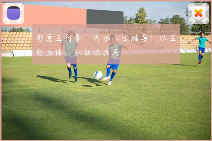 形意五行拳・内功心法精要：以五行为体，以劲法为用