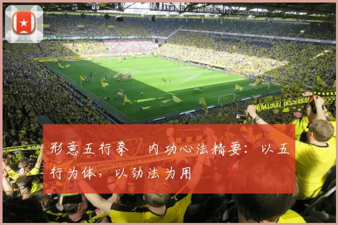 形意五行拳・内功心法精要:以五行为体,以劲法为用