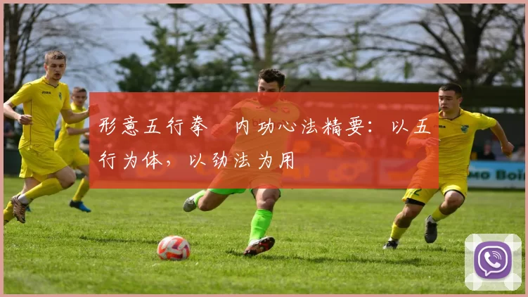 形意五行拳・内功心法精要:以五行为体,以劲法为用