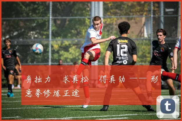 弃拙力・求真松・得真劲 —— 形意拳修炼正途