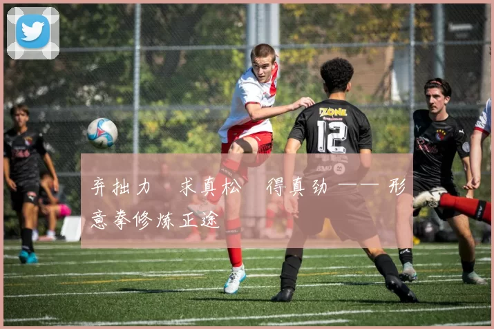 弃拙力・求真松・得真劲 —— 形意拳修炼正途