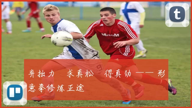 弃拙力・求真松・得真劲 —— 形意拳修炼正途