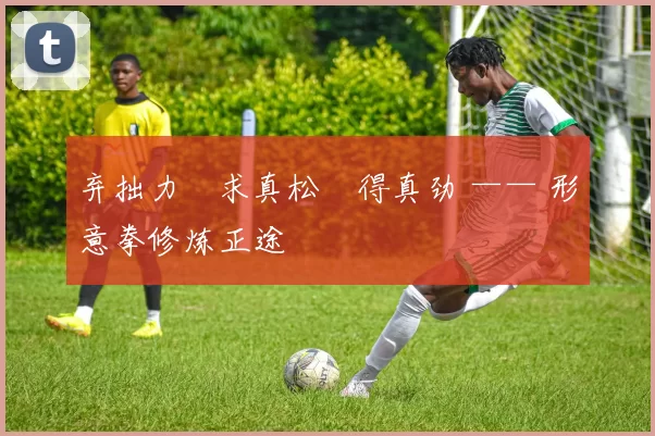 弃拙力・求真松・得真劲 —— 形意拳修炼正途