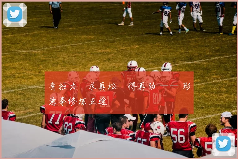 弃拙力・求真松・得真劲 —— 形意拳修炼正途