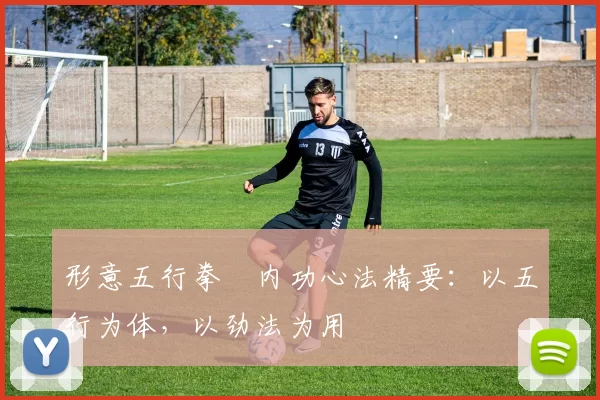 形意五行拳・内功心法精要：以五行为体，以劲法为用