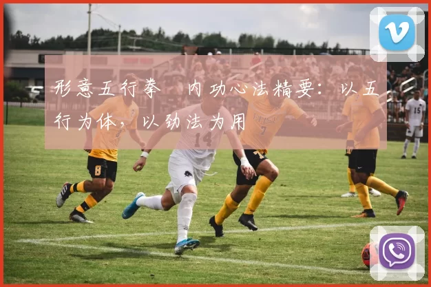 形意五行拳・内功心法精要：以五行为体，以劲法为用