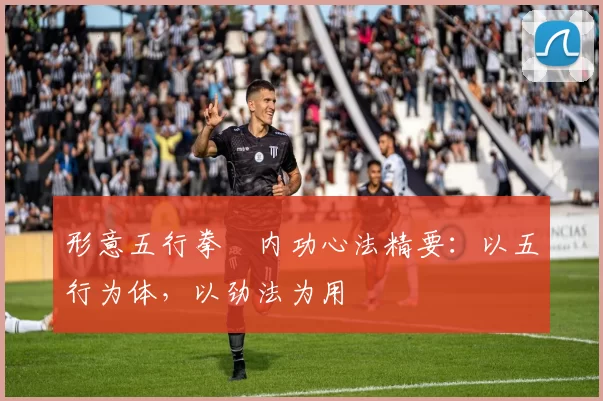 形意五行拳・内功心法精要：以五行为体，以劲法为用