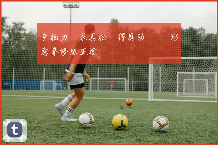 弃拙力・求真松・得真劲 —— 形意拳修炼正途