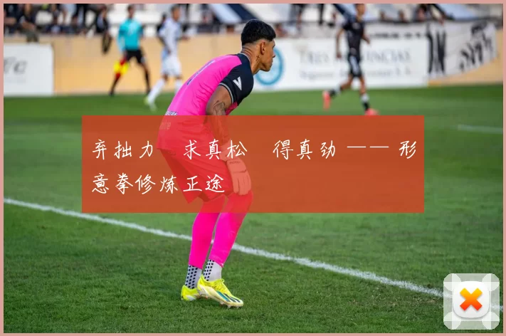 弃拙力・求真松・得真劲 —— 形意拳修炼正途