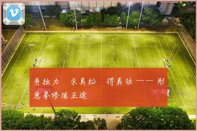 弃拙力・求真松・得真劲 —— 形意拳修炼正途