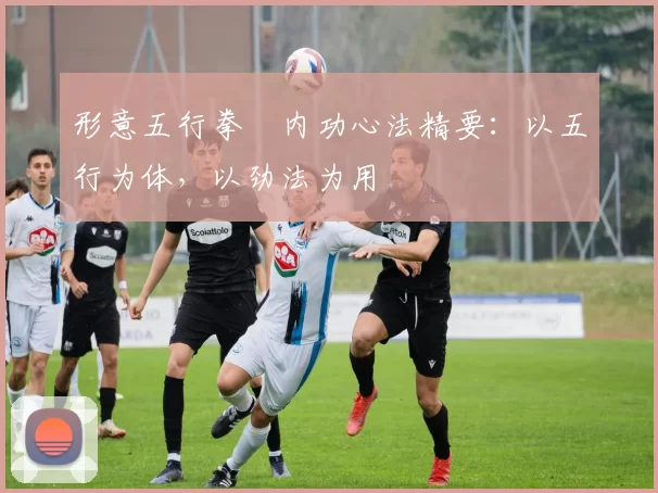 形意五行拳・内功心法精要：以五行为体，以劲法为用