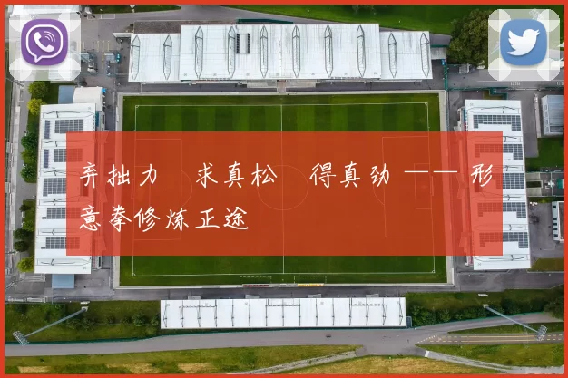 弃拙力・求真松・得真劲 —— 形意拳修炼正途