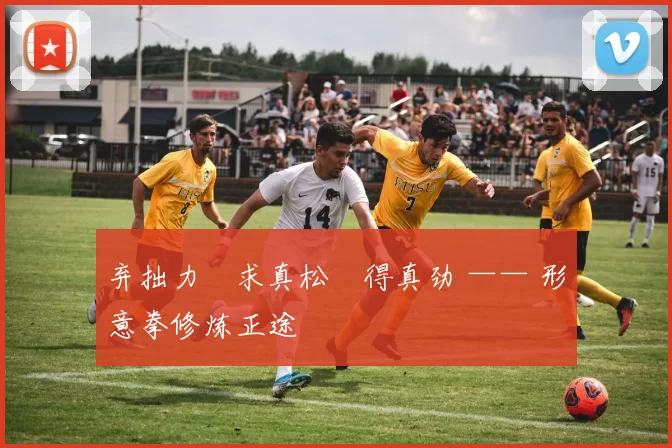 弃拙力・求真松・得真劲 —— 形意拳修炼正途