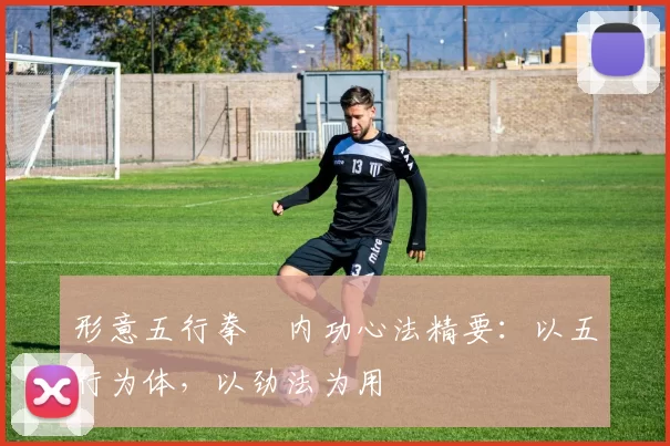 形意五行拳・内功心法精要:以五行为体,以劲法为用